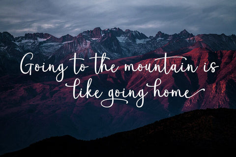 Autography Stylish Font Rotterlab studio 