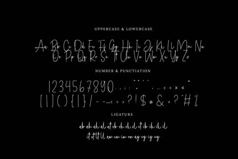 Autoshoot Font LetterdayStudio 