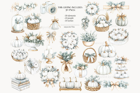 Autumn Clipart | Neutral PNG | White Pumpkin Illustrations SVG GlamArtZhanna 