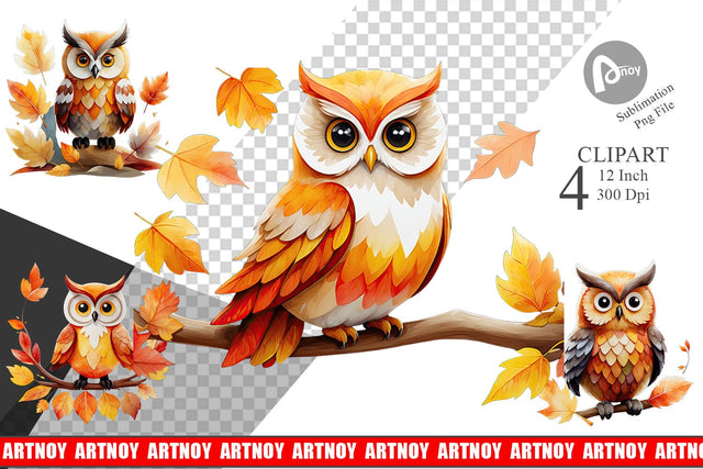 Autumn Owl Watercolor Clipart Sublimation artnoy 