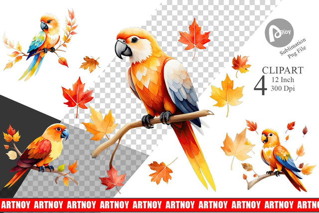 Autumn Parrot Watercolor Clipart Sublimation artnoy 