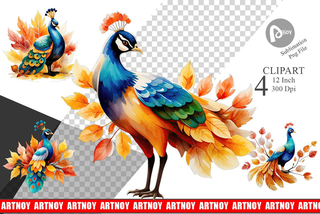 Autumn Peacock Watercolor Clipart Sublimation artnoy 