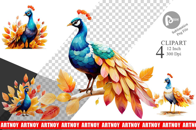 Autumn Peacock Watercolor Clipart Sublimation artnoy 