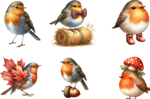 Autumn Robin Bird Clipart Sublimation SVGista 