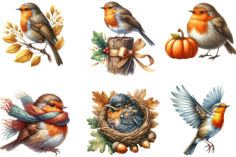 Autumn Robin Bird Clipart Sublimation SVGista 