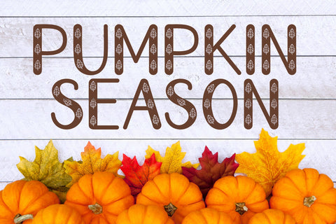 Autumn Show Font AEN Creative Store 