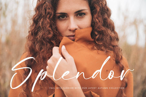 Autumn Silent - Modern Handwritten Script Font Letterena Studios 