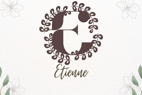 Avelynne Monogram Font Font Dm Letter Studio 