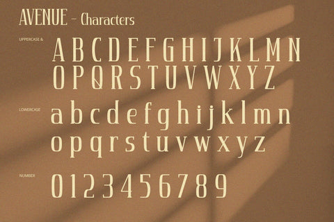 Avenue - Serif Font Font Alpaprana Studio 