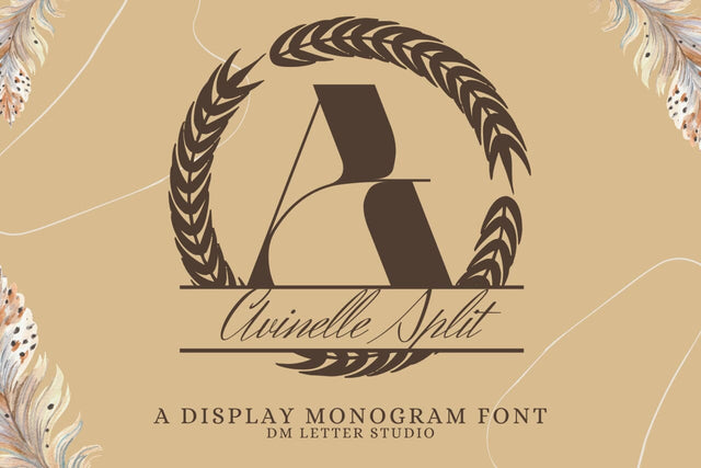 Avinelle Split Monogram Font Font Dm Letter Studio 