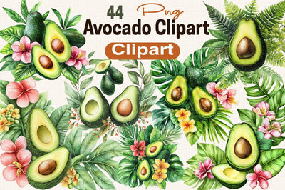 Avocado Watercolor Clipart Botanical PNG Sublimation SVGArt 