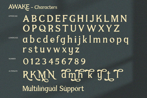 Awake - Serif Font Font Alpaprana Studio 