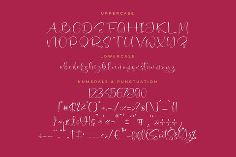 Azalea Sageretia - Beautiful Handwritten Font Font Letterena Studios 