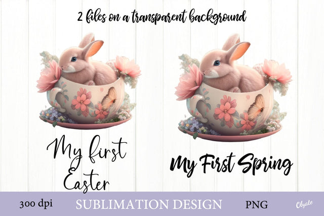 Baby First Sublimation. Spring Bunny Sublimation PNG Sublimation Olga Terlyanskaya 