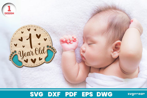 Baby Milestone Cards Laser Cut SVG SvgOcean 