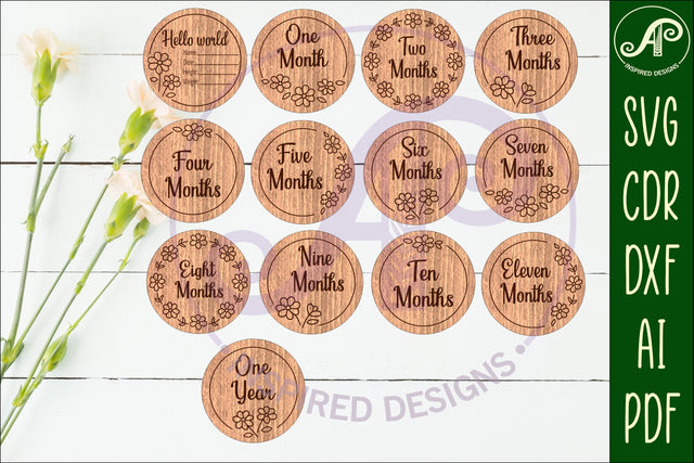 Baby Milestone Discs Daisy Floral, Monthly Baby photo props SVG APInspireddesigns 
