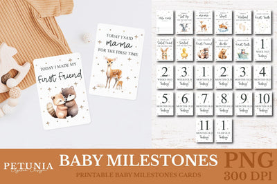 Baby Milestones Printable Cards | First Year Baby Printable Milestones Sublimation Petunia Digital Design 