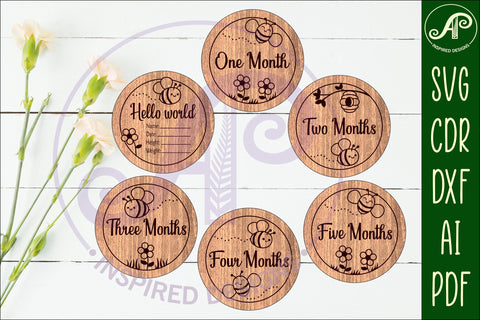 Baby monthly milestone discs SVG Bees theme SVG APInspireddesigns 