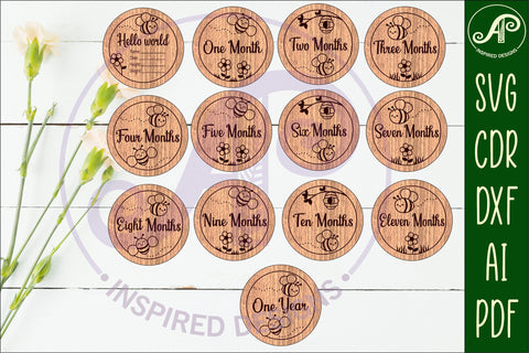 Baby monthly milestone discs SVG Bees theme SVG APInspireddesigns 