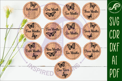 Baby monthly milestone discs SVG Butterfies SVG APInspireddesigns 