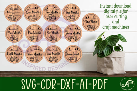Baby monthly milestone discs SVG Farm tractor theme SVG APInspireddesigns 
