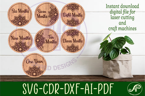 Baby monthly milestone discs SVG Mandala design SVG APInspireddesigns 