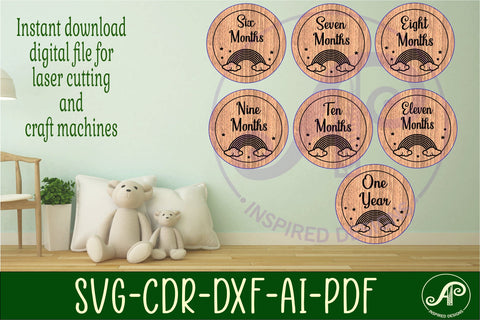 Baby monthly milestone discs SVG rainbow theme SVG APInspireddesigns 