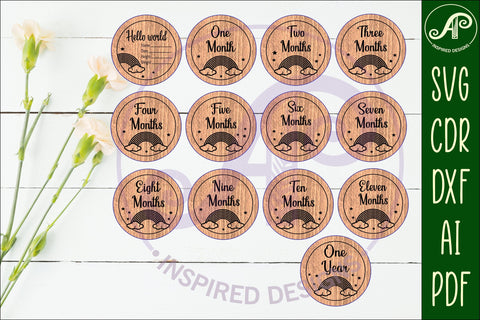 Baby monthly milestone discs SVG rainbow theme SVG APInspireddesigns 