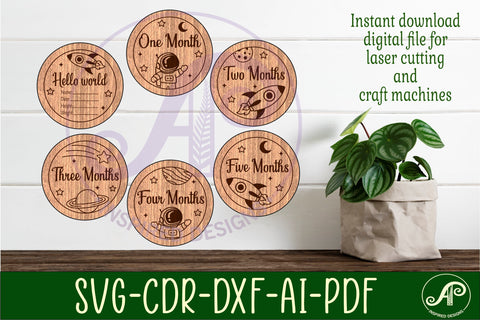 Baby monthly milestone discs SVG Space SVG APInspireddesigns 
