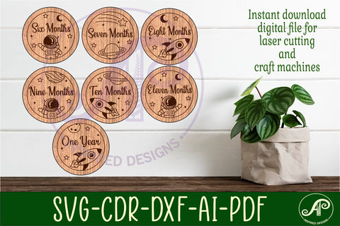 Baby monthly milestone discs SVG Space SVG APInspireddesigns 