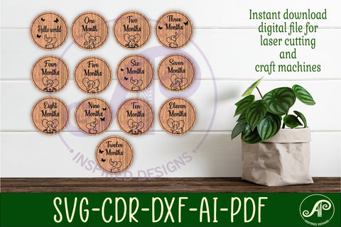 Baby monthly milestone discs SVG wild flower theme SVG APInspireddesigns 