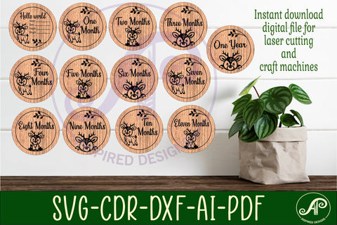 Baby monthly milestone discs SVG woodland deer theme SVG APInspireddesigns 