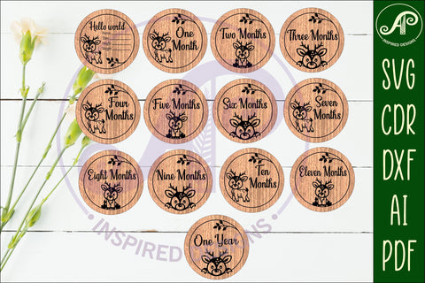 Baby monthly milestone discs SVG woodland deer theme SVG APInspireddesigns 