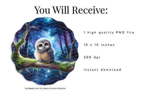 Baby Owl Wind Spinner PNG Sublimation Design Sublimation BijouBay 