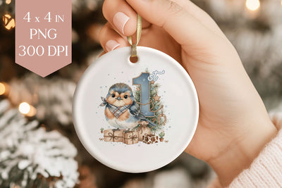 Baby Robin 1st Christmas Sublimation Ornament PNG Sublimation BijouBay 