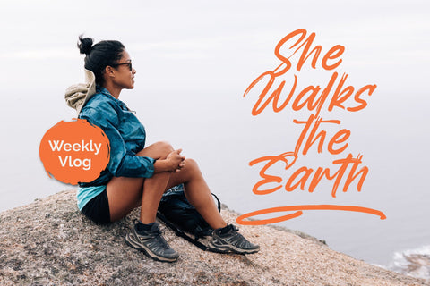 Backline Marker - Texture Brush Font Font Letterena Studios 