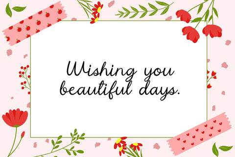 Backyard Blooms Font Cotton White Studio 