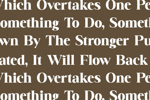 Badilna - Modern Alternate Serif Font Letterena Studios 