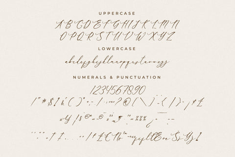 Baiden Amelie - Modern Signature Font Font Letterena Studios 