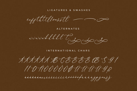 Baiden Amelie - Modern Signature Font Font Letterena Studios 