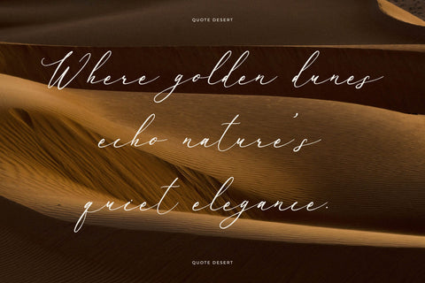 Baiden Amelie - Modern Signature Font Font Letterena Studios 