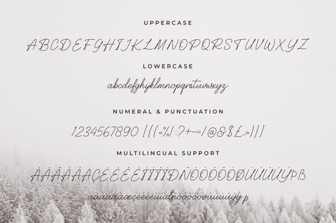Balcony Handwritten Font Font Heinzel Studio 