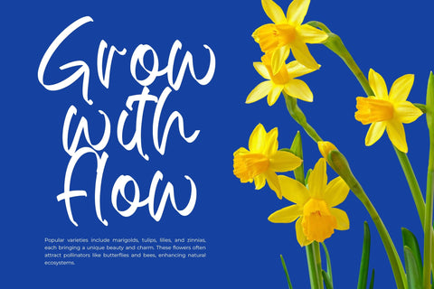 Ballery Skinton - Bold Handwritten Font Font Letterena Studios 