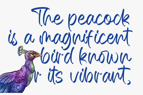 Ballery Skinton - Bold Handwritten Font Font Letterena Studios 