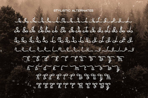 Baloghen – Vintage Monoline Script Font Font Arterfak Project 