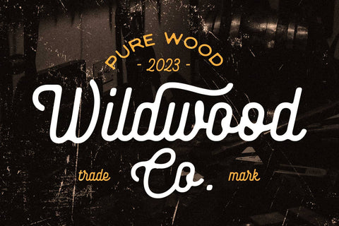 Baloghen – Vintage Monoline Script Font Font Arterfak Project 