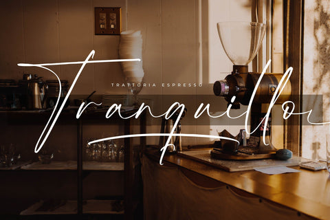 Bannethons - Modern Signature Script Font Letterena Studios 