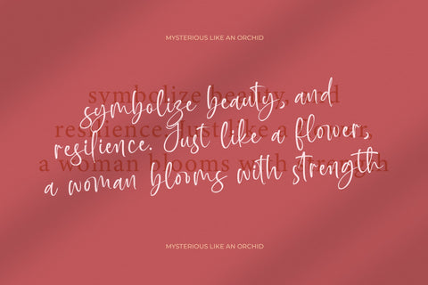 Baplosy Startera - Bold Brush Font Font Letterena Studios 