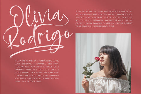 Baplosy Startera - Bold Brush Font Font Letterena Studios 