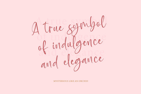 Baplosy Startera - Bold Brush Font Font Letterena Studios 